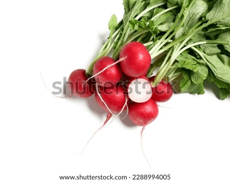 Bunch of ripe radish with green leaves isolated on white background Royalty-Free Stock Photo #2288994005
