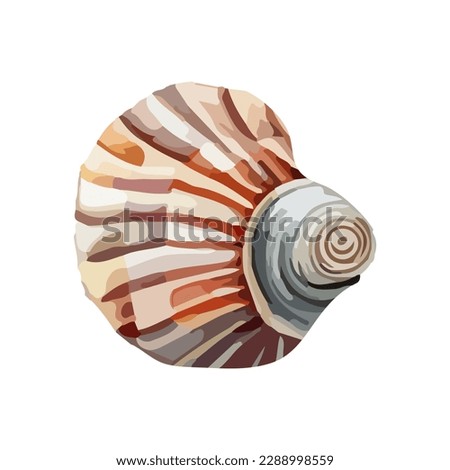Vector Seashell watercolor illustration. Hand drawn underwater element design. Artistic vector marine design element. Illustration for greeting cards, printing and other design projects.