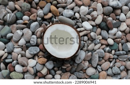 Half Coconut On A Colored Sea Stones Texture Background 

