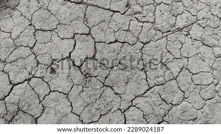 Dry mud cracking, land crack
