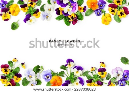 Viola pansy flower frame border. Violet spring flowers and leaves isolated on white background. Creative layout. Floral design element. Springtime and easter concept. Top view, flat lay 
 Royalty-Free Stock Photo #2289038023