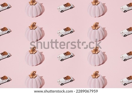 Arranged pink pumpkin with white convertible classic car on a pink pastel background. Pattern.