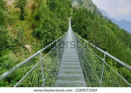 bridge in the forest, photo as a background, digital image