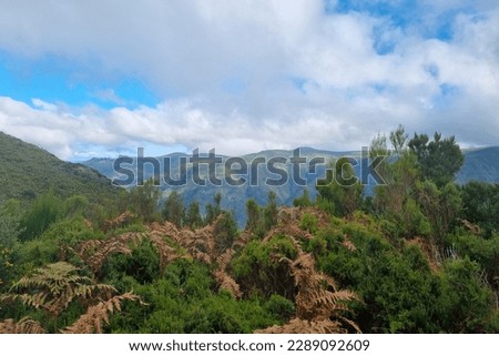 A picturesque view of the green peaks of the mountains. The background of nature