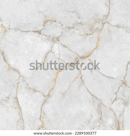 Light gray marble with beige and brown veins texture used for ceramic tile design. 
