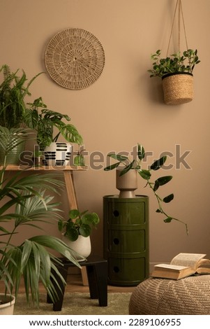 Warm and cozy composition of living room interior with plants in flowerpots, wooden bench, black stool, stylish pouf, green sideboard, books and personal accessories. Home decor. Template. 