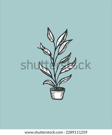 Hand Drawn plant Illustration. Plant sketch illustration art. Simple Sketched Hare ideal for Cards, Posters, Wall Art. T shirts.