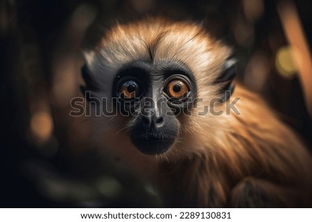  a close up image of a monkey in dark wood, in the style of time-lapse photography, light orange and dark beige, naturalistic bird portraits, strong facial expression, tilt-shift lenses, charly amani,