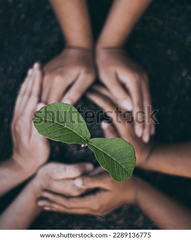 Tree planting grows in soil in children's hands to save world environment, tree care, arbor day, Tu Bishvat (B'Shevat) environmental protection, ecological education concept for school students Royalty-Free Stock Photo #2289136775