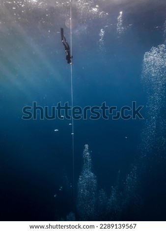 Freediver  diving at the line Royalty-Free Stock Photo #2289139567