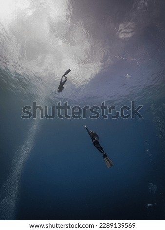 Freediver  diving at the line Royalty-Free Stock Photo #2289139569