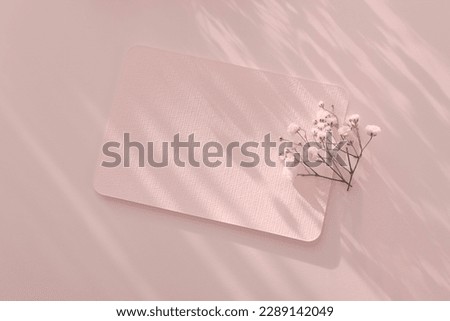 Smoke Empty Blank texture canvas paper card and flower. Light and shadows minimalism style template background. Pink Beige color tone.