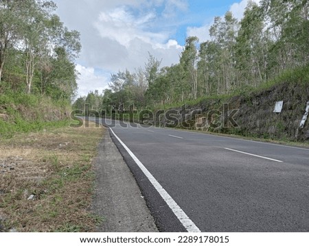 road in the middle of the forest with a cloudy blue sky background

￼



