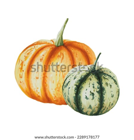 Watercolor composition of autumn pumpkins isolated. Thanksgiving, Halloween illustration for designers, scrapbooking. For designers, postcards, party Invitations, wrapping paper, covers. For posters