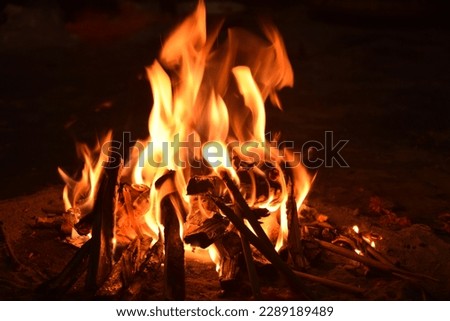 The perfect wood fire pictures