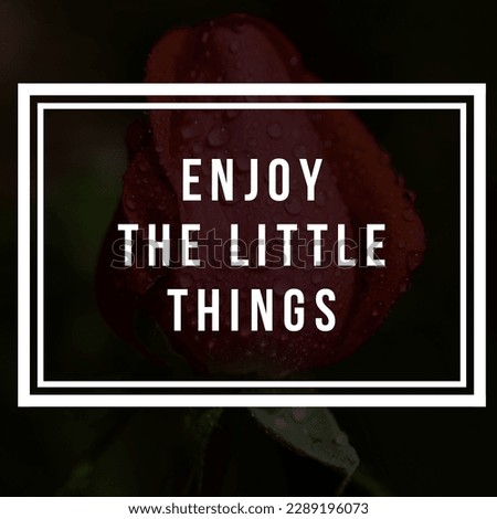 Enjoy the little things.best and inspirational quotes wallpaper Beautiful motivational quotes best background 
