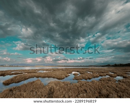 Floodplain with dry grass in İzmir, İnciraltı, Turkey. Swamp with dry reeds on the shores of mediterranean sea under the cloudy turquoise sky, wide angle, great scenic landscape 