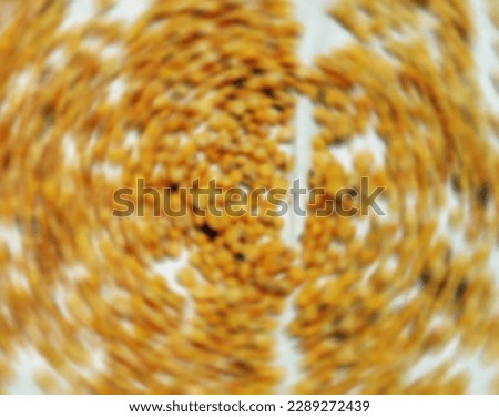 Defocused abstrack backgorund of corn grains
