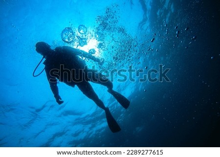 Scuba Divers, silhouettes against sunburst, in the ocean beside coral reef