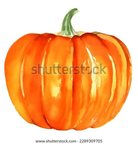 pumpkin with style hand drawn digital painting illustration