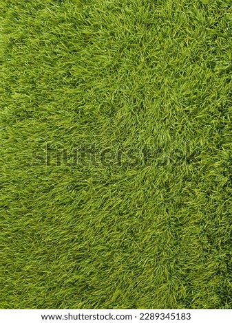 top view of green grass background of the garden, the picture used for making green backdrop, football field, golf course lawn, green grass pattern texture background