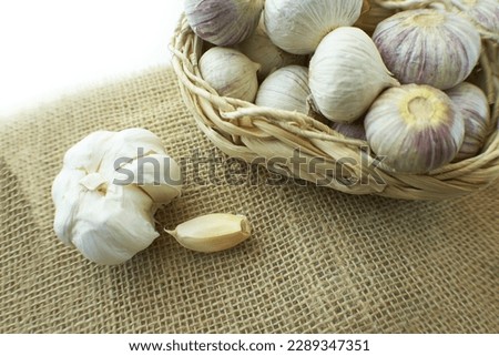 Fresh organic garlic in wicker basket on sackcloth. Autumn harvest, an ingredient for healthy cooking. Rustic style
