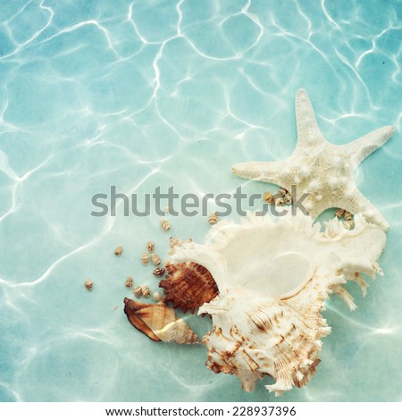 Blue background with seashells