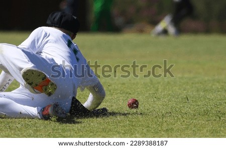 an adult male cricketer who is a fielder lying on the grass as he slipped while attempting to field and stop the leather cricket ball. Fielding the cricket ball during a cricket match in South Africa