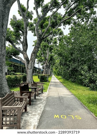 An empty biking area in Singapore