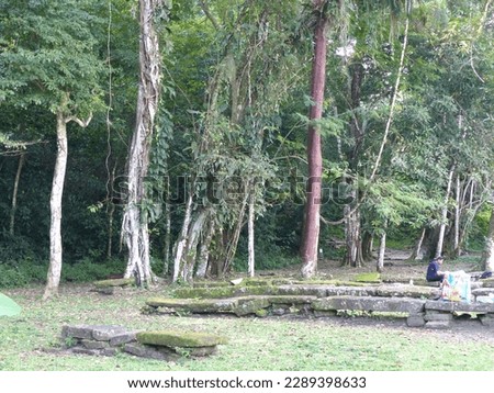 Palenque, Mexico - February 2023: Picture showing the stunning nature around Palenque in Mexico