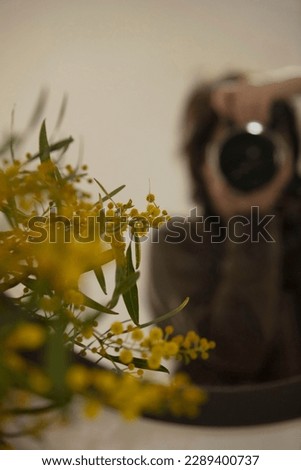 Reflection of the photographer in the mirror.  Blurred. Girl with a camera, in the apartment, vase with wild yellow flowers, branches. The concept of creativity, blogger, blogging, style.