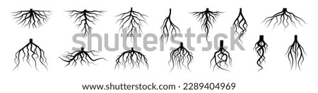 Tree root icon set. Tree root silhouette set. Royalty-Free Stock Photo #2289404969