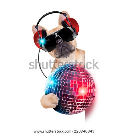 dj bulldog dog with headphones listening to music holding a disco ball, besides a white banner or placard , isolated on white background