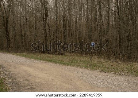 Single forest parking lot with blue traffic sign with inscription capital P on a forest path with many young bare beech trees in early spring