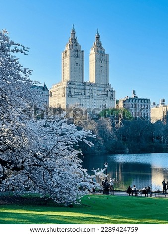 Central Park in the spring, New York City, USA.