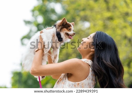 Asian woman playing with chihuahua dog at pets friendly dog park. Domestic dog with owner enjoy urban outdoor lifestyle in the city on summer vacation. Pet Humanization and urban pet parents concept. Royalty-Free Stock Photo #2289439391