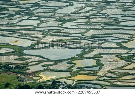 aerial view of salt marshes