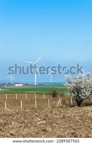 wind turbines generating energy from the wind, in nature, clear blue sky