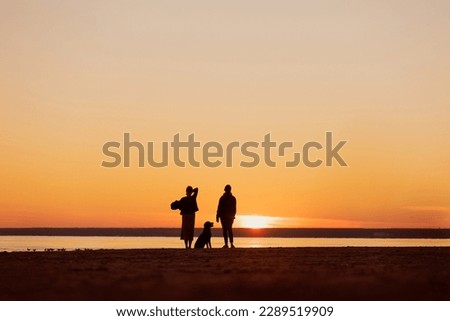 silhouette of people at sunset with dog, two women walking with pet Labrador retriever on the seashore. rest and freedom, view of nature and sunset on sea. poster postcard