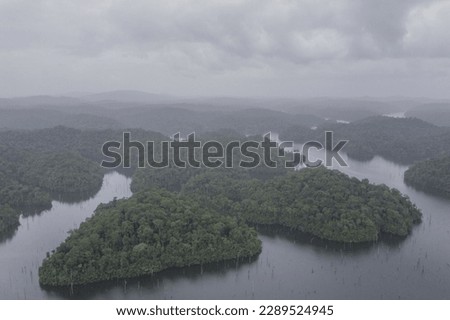 Aerial picture of the Petit-Saut lake in French Guiana
