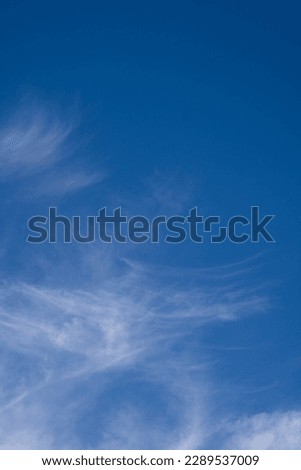 blue sky with white wispy clouds environment or weather background wallpaper or backdrop vertical format room for type bright blue sky n nice day angel like wisp clouds thin and light feather like 