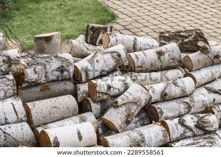chopped wood stored by a suburban house