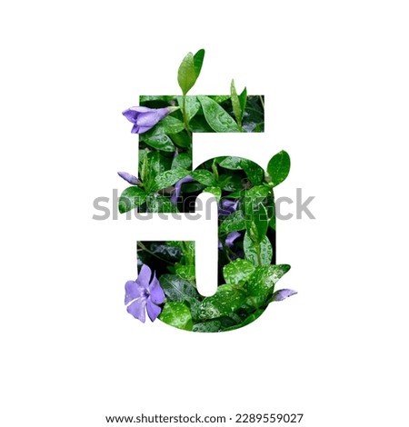 Creative number 5 five shape cutout with fresh flowers and raindrops. Beautiful flora number for your unique decoration in spring, summer or several concept ideas Royalty-Free Stock Photo #2289559027