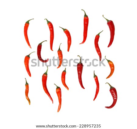 collection of chili on white background