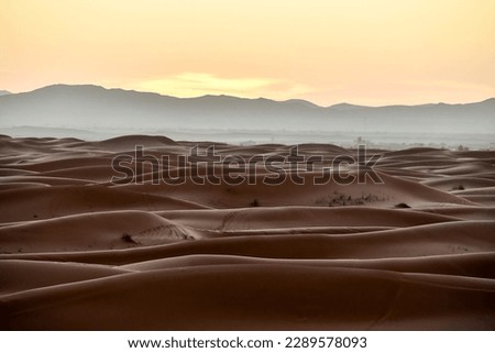 sand dunes at sunset, beautiful photo digital picture