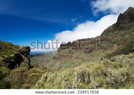 Landscape near Maska, village at Tenerife Village