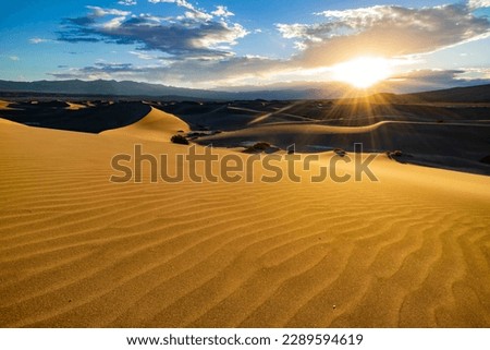 Sunny view of the beautiful Mesquite Flat Dunes at Stovepipe Wells, Death Valley National Park Royalty-Free Stock Photo #2289594619