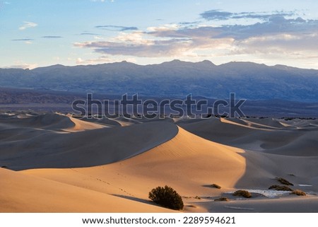 Sunny view of the beautiful Mesquite Flat Dunes at Stovepipe Wells, Death Valley National Park Royalty-Free Stock Photo #2289594621