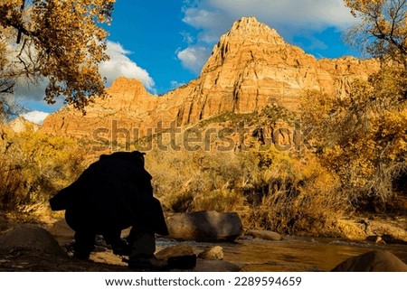 Photographer taking picture of the autumn landscape of Zion National Park at Utah