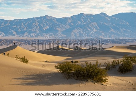 Sunny view of the beautiful Mesquite Flat Dunes at Stovepipe Wells, Death Valley National Park Royalty-Free Stock Photo #2289595681